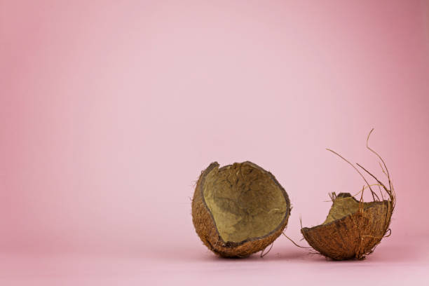 istock Chopped in half coconut on a pink background 1209827359