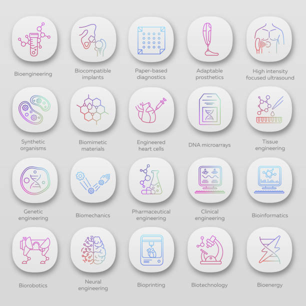 Bioengineering app icons set. Biotechnology. Diseases diagnosis and treatment, genetic engineering, ai. UI/UX user interface. Web or mobile applications. Vector isolated illustrations Bioengineering app icons set. Biotechnology. Diseases diagnosis and treatment, genetic engineering, ai. UI/UX user interface. Web or mobile applications. Vector isolated illustrations medical technology stock illustrations