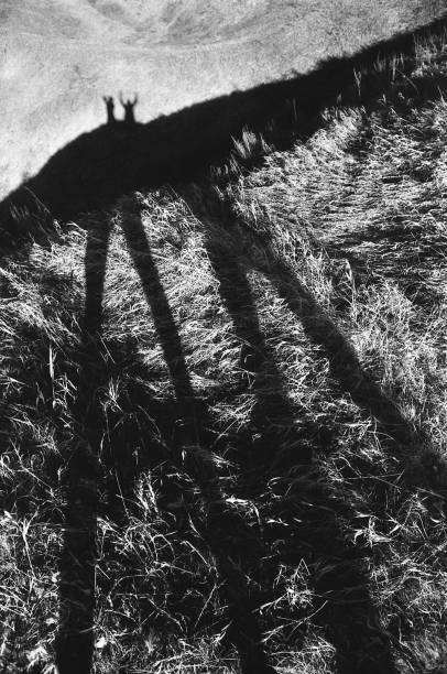 istock Long shadows of two people on grass. Black and white fine art 1209829901