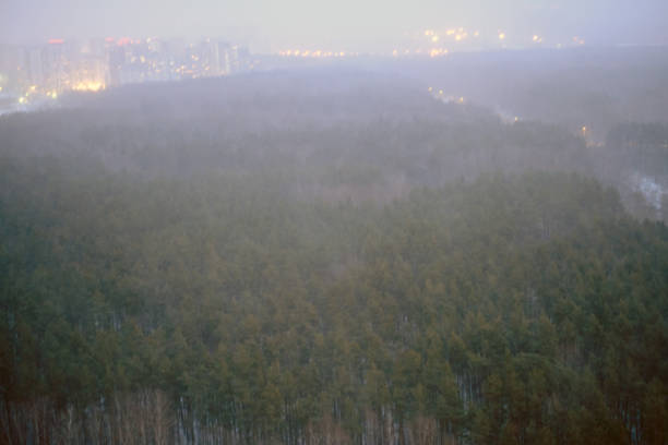 istock Blurred background with a trees in a snow storm and the city, top view 1209830009