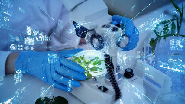 biotechnologisches konzept. lebensmitteltechnologie. ernährungswissenschaft. - nutritional analysis stock-fotos und bilder