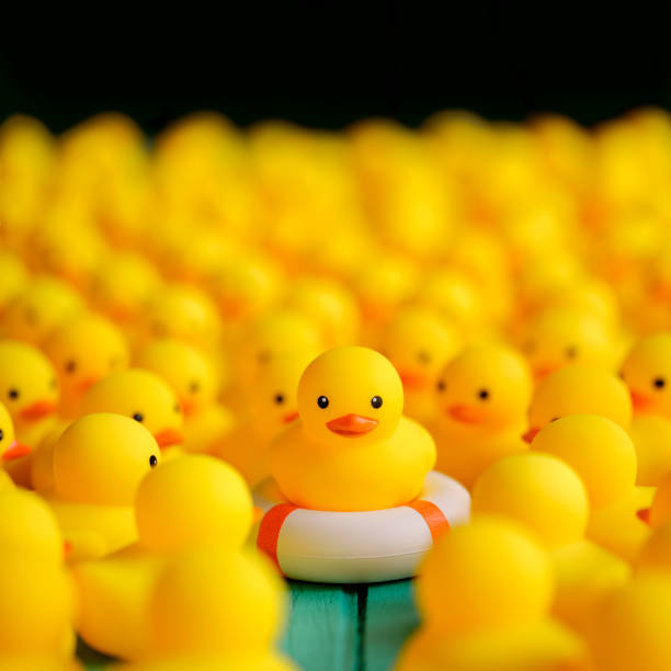 istock One yellow rubber duck on a safety inflatable life ring facing the camera as many other yellow rubber ducks gather around and look at the duck on the life ring, set on a turquoise wooden table with a black background. 1209833363