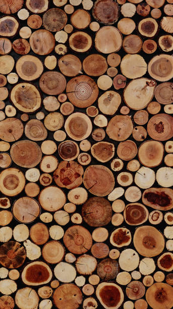 istock round wooden stump cut panel for background 1209834462