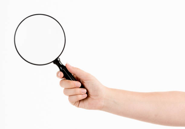 istock Female hand holds out a large magnifying glass 1209834482