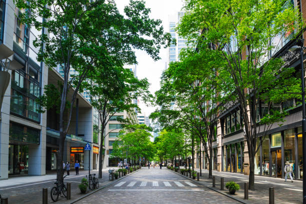Marunouchi office street in early summer