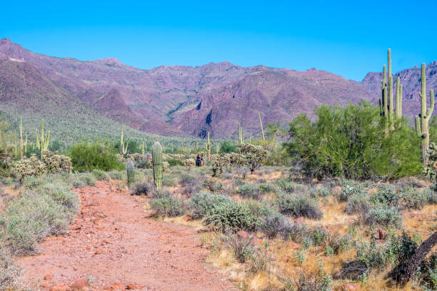 istock An overlooking view of nature in Apache Junction, Arizona 1209836112