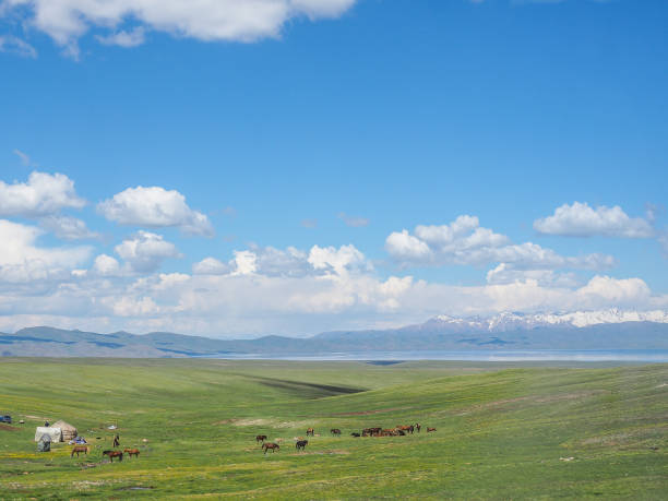 istock Tien Shan Mountains, Kyrgyzstan 1209837154