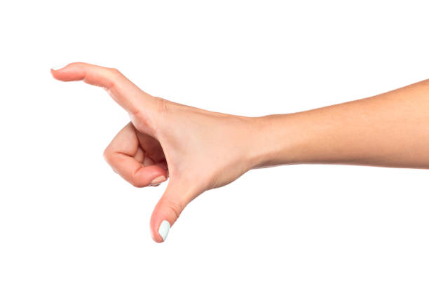 istock female hand isolated on white background showing hand gestures 1209838946