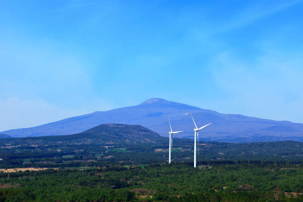 It is a springscape of rural Jeju.