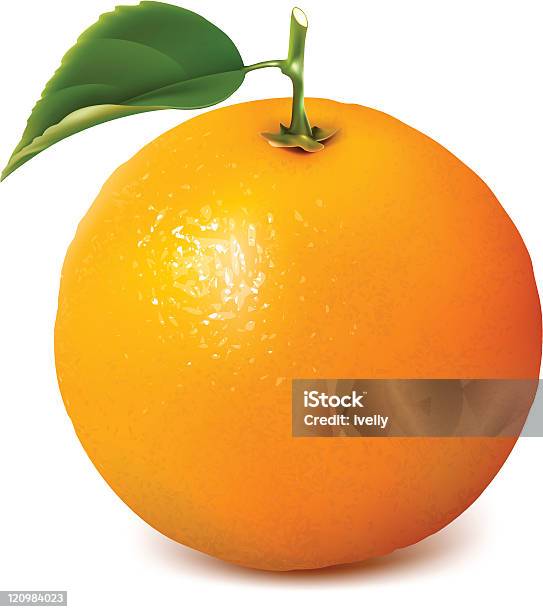 Vector Fresh Ripe Orange With Leaf Stock Illustration - Download Image Now - Citrus Fruit, Color Image, Food