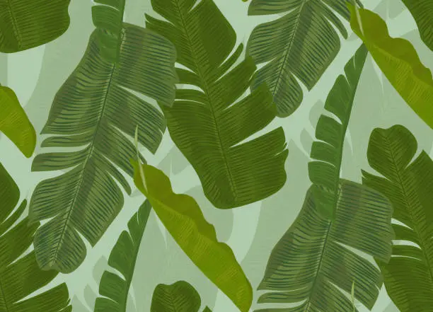 Vector illustration of Banana leaves jungle - seamless pattern.