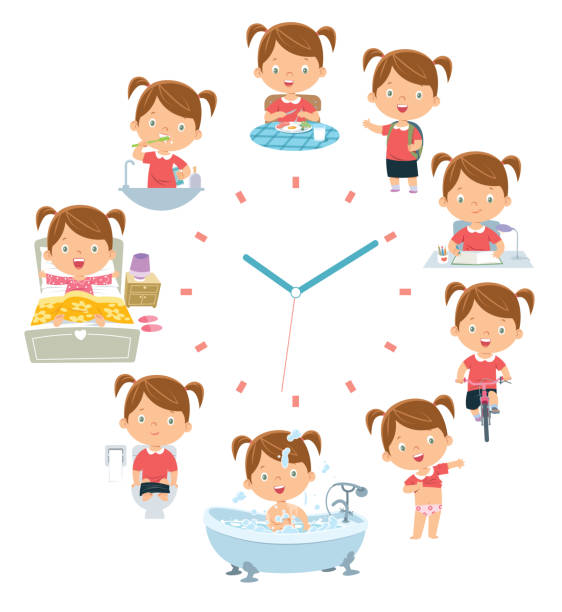 Illustration Routine Matin 12 300+ Routine Du Matin Stock Illustrations, graphiques vectoriels ...