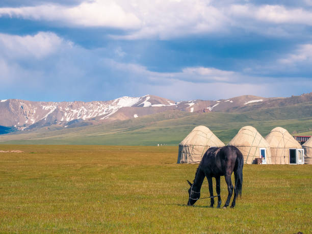 istock Son Kul Lake, Kyrgyzstan 1209842643