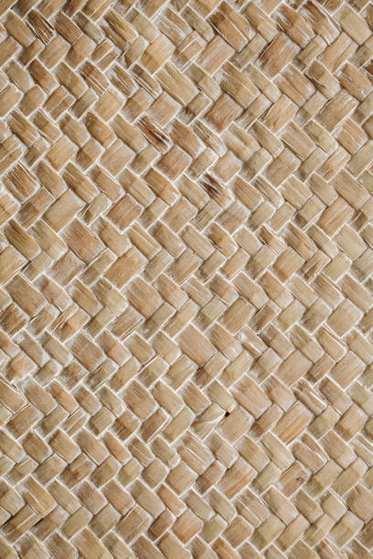 istock Close up view of bamboo texture and background for design. Bamboo texture macro view. Organic and natural texture. 1209842769