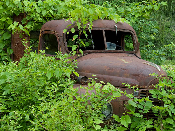 istock rusted truck buried in foliage 120984301