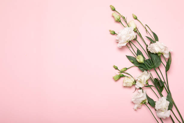 istock Flower flat lay for decorative design on beige background. Minimal romantic hipster concept, mockup background. 1209845014