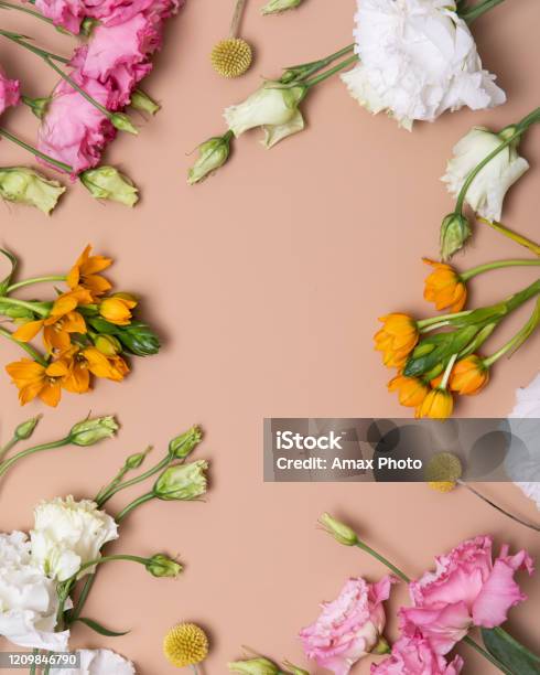 El Plano De Flores Estaba Para El Diseño Decorativo Sobre Fondo Beige Concepto Hipster Romántico Minimalista Fondo De Maqueta Foto de stock y más banco de imágenes de Flor - iStock El Plano De Flores Estaba Para El Diseño Decorativo Sobre Fondo Beige Concepto Hipster Romántico Minimalista Fondo De Maqueta Foto de stock y más banco de imágenes de Flor - iStock