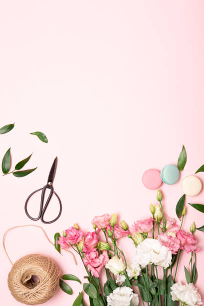 istock Flower flat lay for decorative design on pink background. Minimal romantic hipster concept, mockup background. 1209846861
