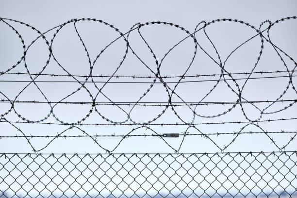 primer plano de la valla con alambre de púas de afeitar contra el cielo - winter wire barbed wire protection fotografías e imágenes de stock