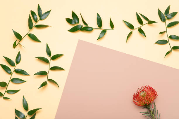 istock Green branch flat lay. Flowers minimal composition on beige background. 1209846920