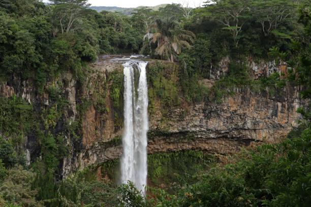 istock Chamarel Waterfall, Mauritius, Indian Ocean, Africa 1209848016