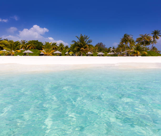 istock summer vacation in idyllic tropical paradise 1209848453