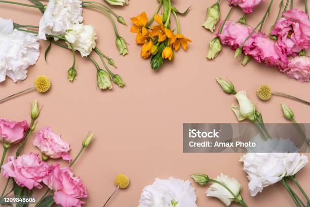 El Plano De Flores Estaba Para El Diseño Decorativo Sobre Fondo Beige  Concepto Hipster Romántico Minimalista Fondo De Maqueta Foto de stock y más  banco de imágenes de Flor - iStock
