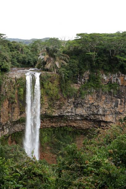 istock Chamarel Waterfall, Mauritius, Indian Ocean, Africa 1209848818