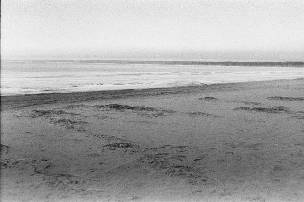 istock Deserted beach on the bay. 1209857208