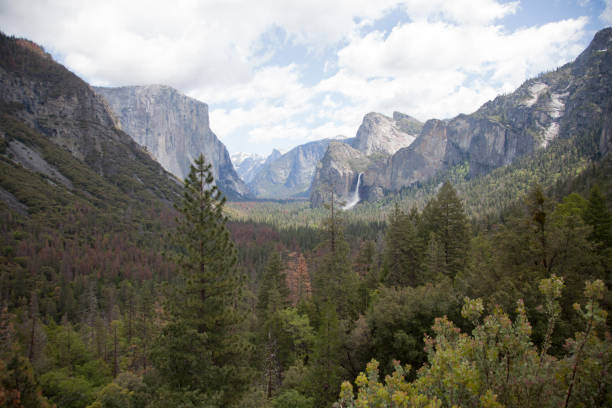 istock Panoramic view in Yosemite National Park California 1209858906