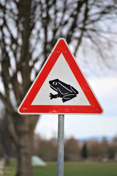 istock warning sign on the road in winter 1209859999