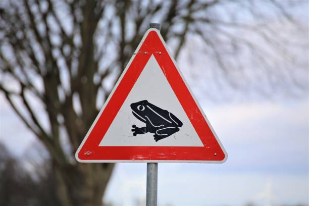 istock warning sign on the road in winter 1209860000