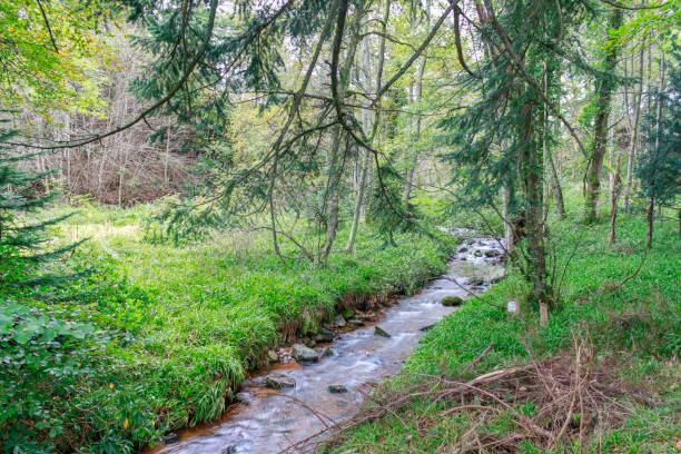 istock landscape of a river in Scotland 1209860141