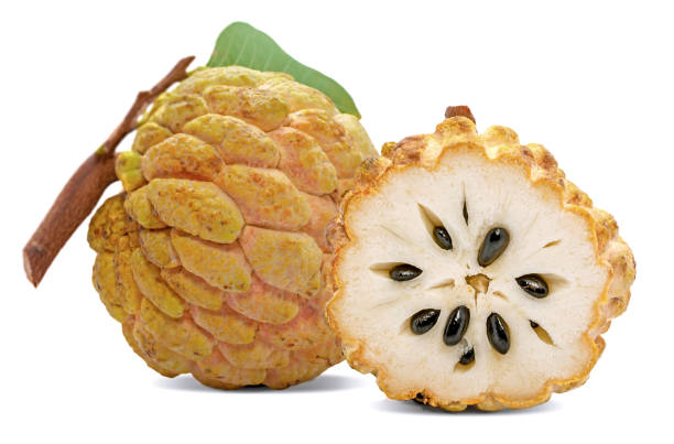 istock Annona or Custard apple fruit isolated on white background 1209861114