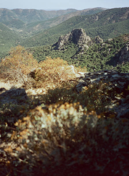 istock Grassy slope on a background of mountains. 1209861720