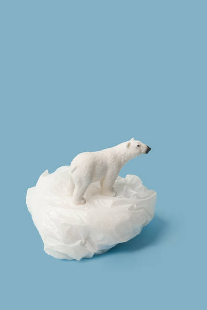 White polar bear on plastic bag on blue background, plastic pollution and climate change concept