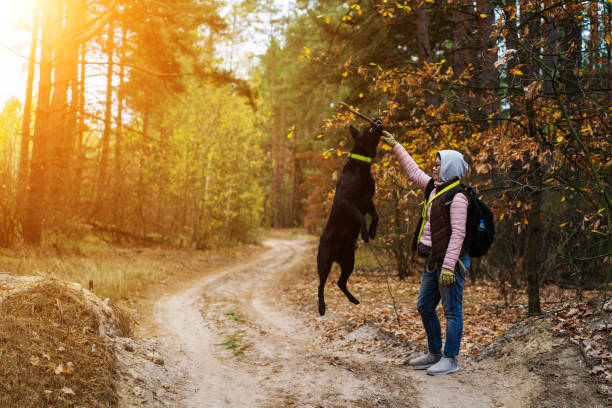 istock Woman and Her Dog In Sunny Forest 1209862677