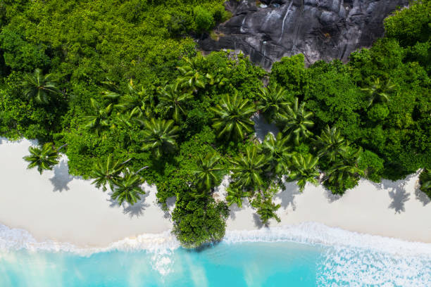 istock Tropical coastline and blue ocean. 1209864303
