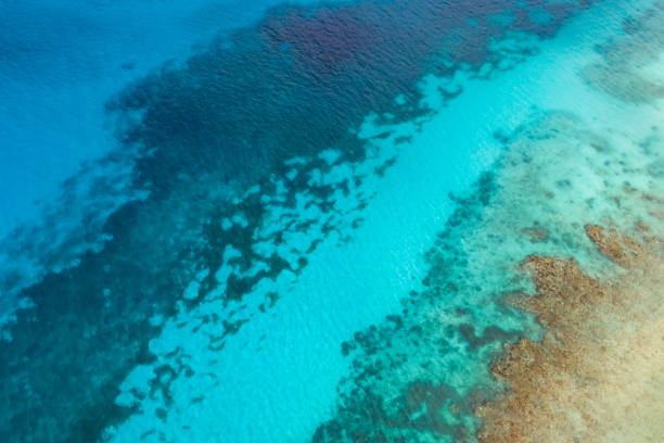 istock Blue ocean with underwater coral reef, tropics. 1209864335