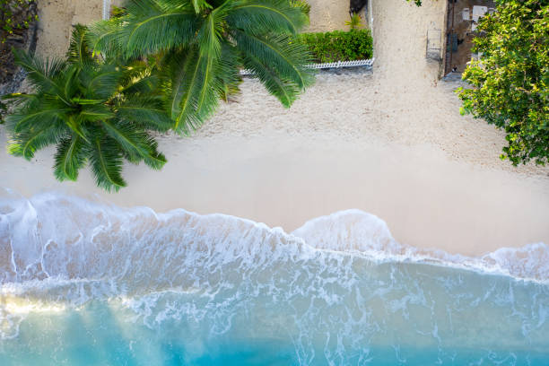 istock Tropical beach with palm trees, terrace and  blue ocean waves. 1209864366