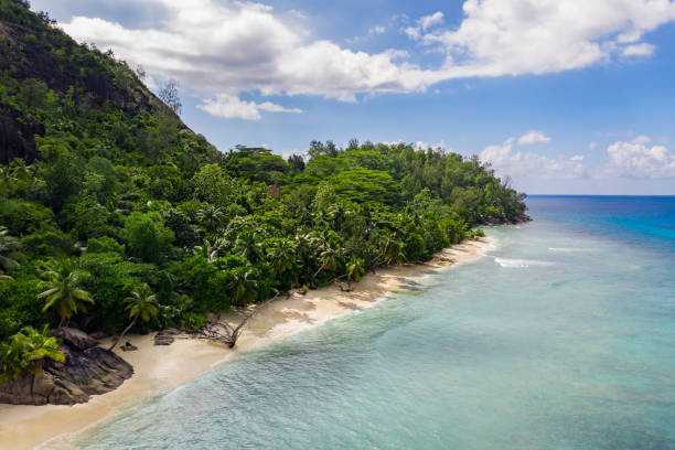 istock Tropical coastline and blue ocean. Seychelles islands 1209864378