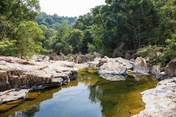 istock Stream in the tropical jungles 1209864644