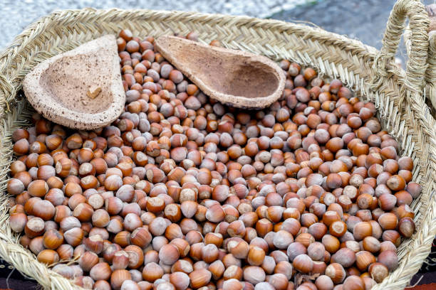istock Autumn hazelnuts in basket. Background with autumn hazelnuts. Selective focus. Closeup. 1209866613
