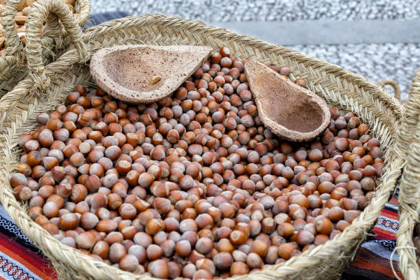 istock Autumn hazelnuts in basket. Background with autumn hazelnuts. Selective focus. Closeup. 1209866618
