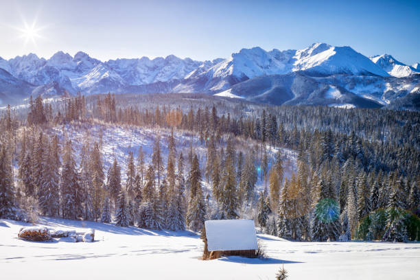 Winter view of the Tatra Mountains from the Glodowka glade near Bukowina Tatrzańska