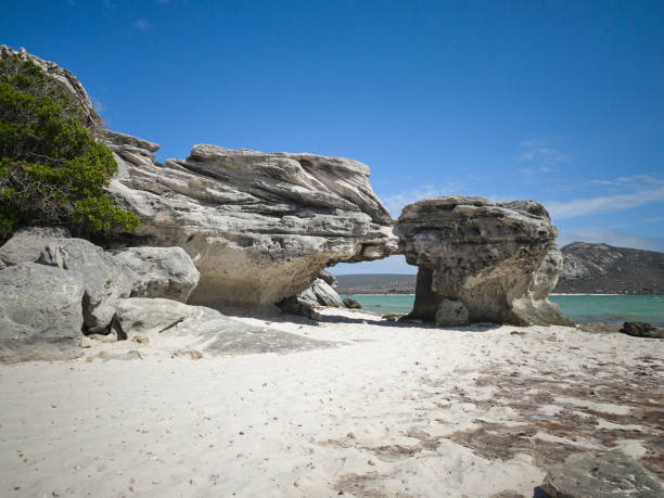 playa en langebaan laguna west coast parque nacional con rocas en la costa y agua azul en frente de la playa - saltwater flats coastal feature landscape national park fotografías e imágenes de stock