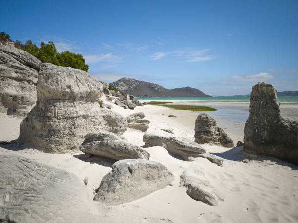 랑게반 라군 웨스트 코스트 국립공원의 해변과 해안의 바위, 해변 앞의 푸른 물 - saltwater flats coastal feature landscape national park 뉴스 사진 이미지