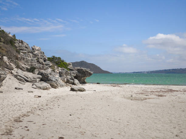 playa en langebaan laguna west coast parque nacional con rocas en la costa y agua azul en frente de la playa - saltwater flats coastal feature landscape national park fotografías e imágenes de stock