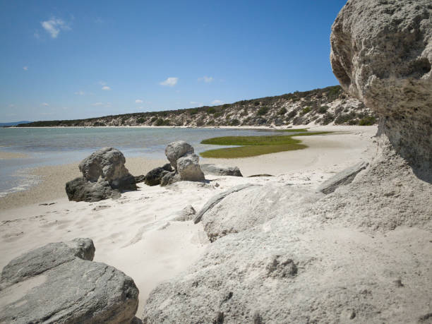 랑게반 라군 웨스트 코스트 국립공원의 해변과 해안의 바위, 해변 앞의 푸른 물 - saltwater flats coastal feature landscape national park 뉴스 사진 이미지