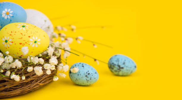 uova di pasqua in un nido su sfondo giallo - birds nest animal nest branch spring foto e immagini stock